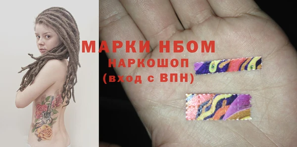 молекула духа Арсеньев