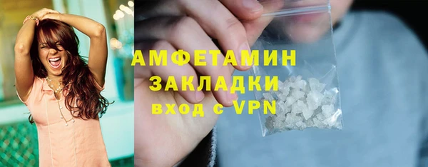 молекула духа Арсеньев