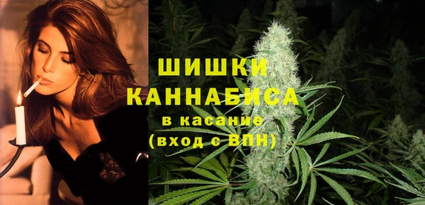 молекула духа Арсеньев