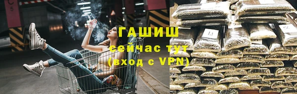 молекула духа Арсеньев