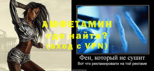 молекула духа Арсеньев