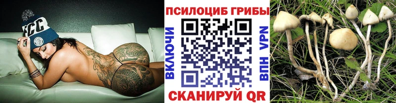 Галлюциногенные грибы Psilocybe  блэк спрут ссылки  даркнет наркотические препараты  Урай 